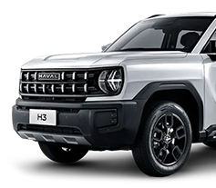 Haval